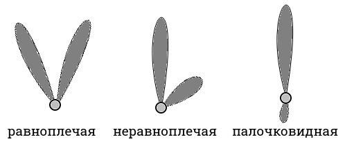 Типы хромосом