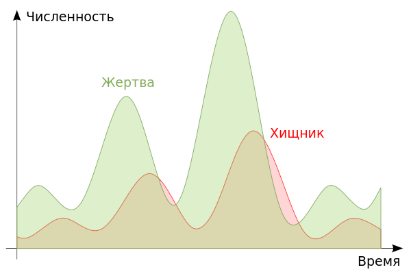 Колебания численности популяций жертвы и хищника