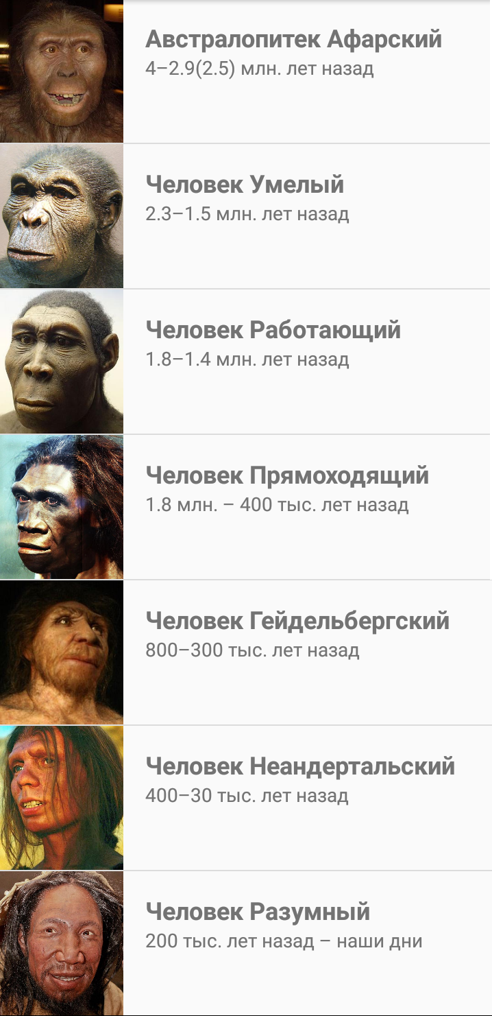 Этапы эволюции человека