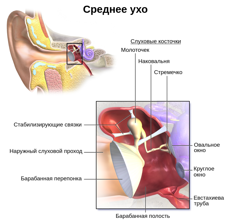 Строгать доски строгать но кладите струганым вниз