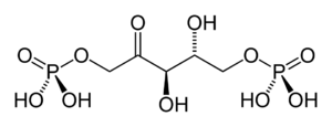 РиБФ